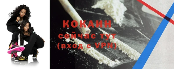 спиды Новозыбков