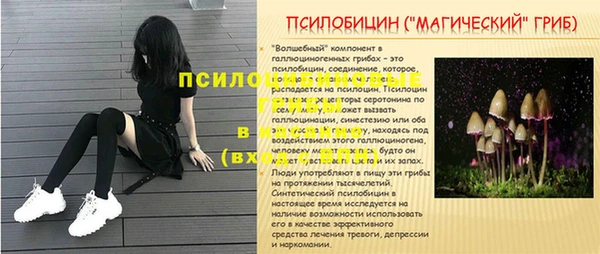 хмурый Балабаново
