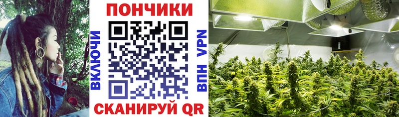 Марихуана THC 21%  Новый Уренгой 